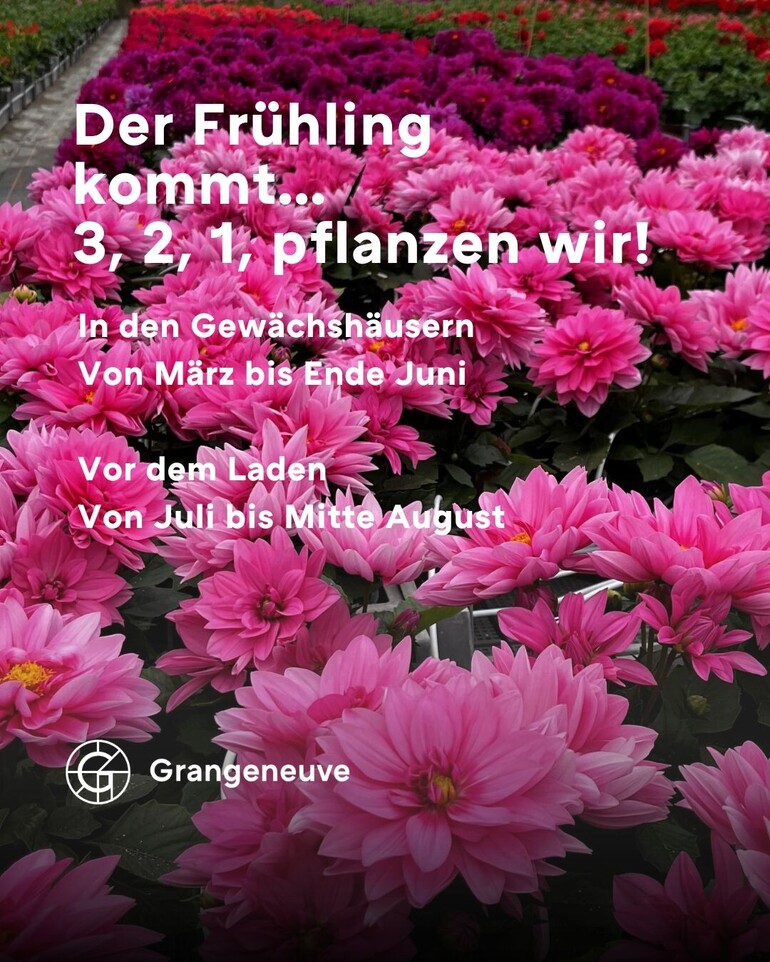 Plantons - 2