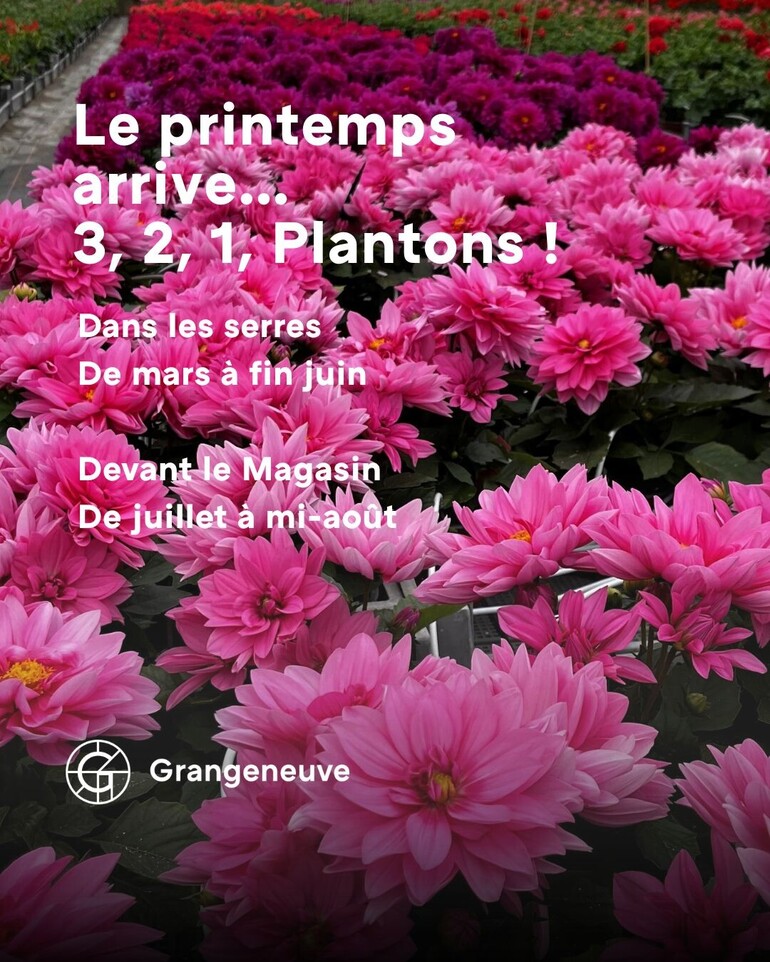 Plantons - 1